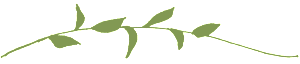 branchGreen